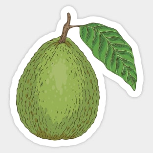 Guava Sticker